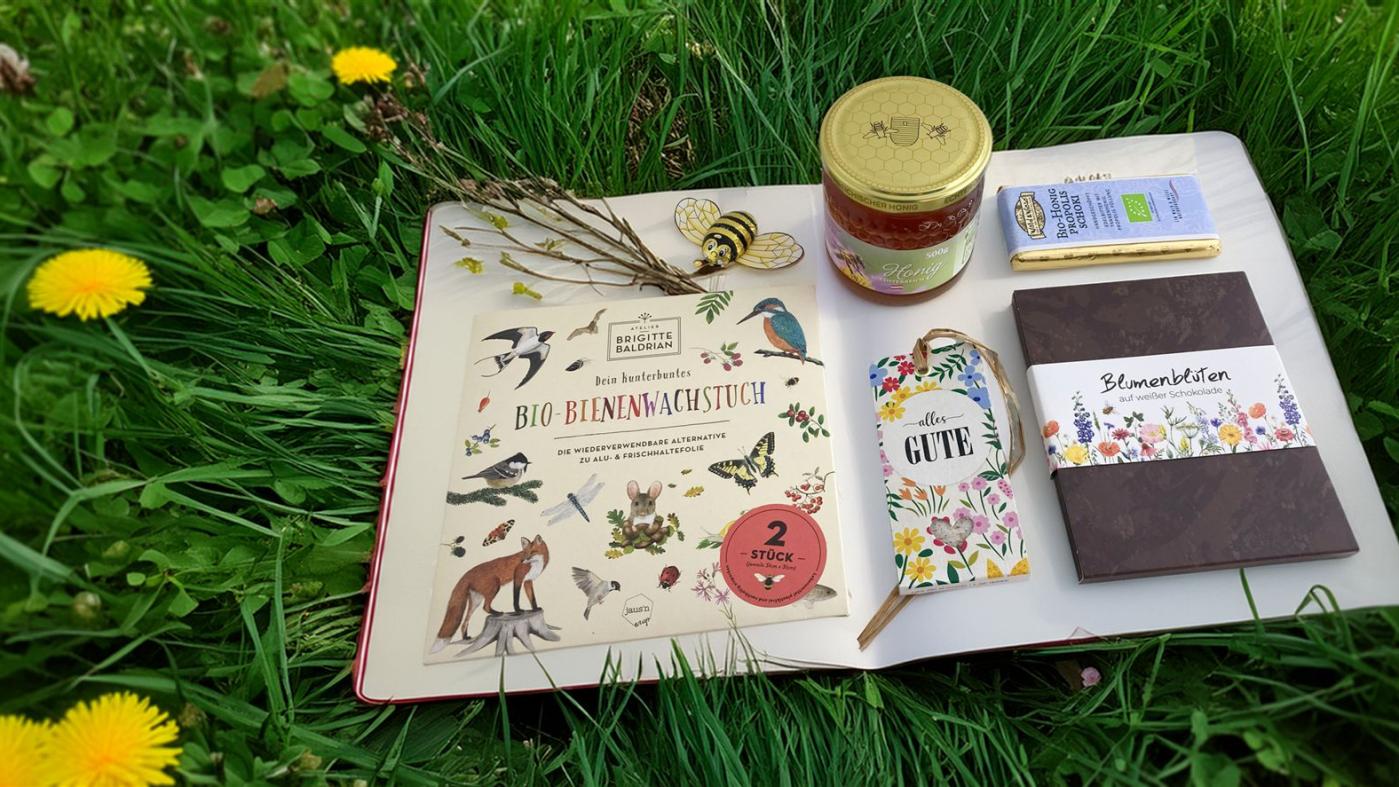 Fruehling-Bienenhaus-Freinberg-Header